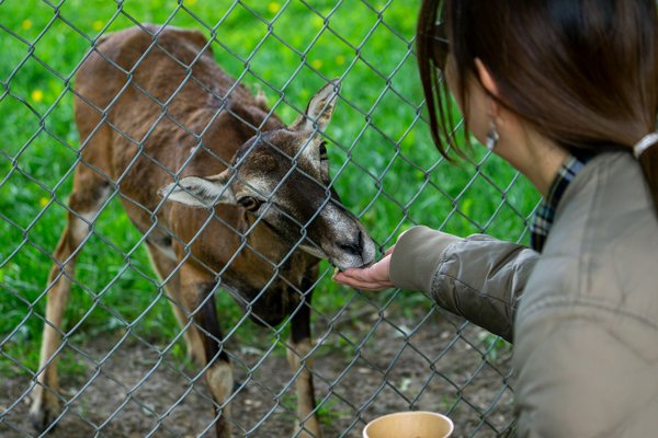 Quels sont les tarifs du zoo de la Barben ?